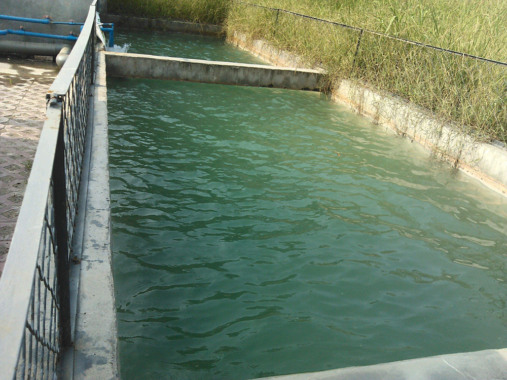 聚丙烯酰胺處理后的水會(huì)對(duì)環(huán)境產(chǎn)生污染嗎？