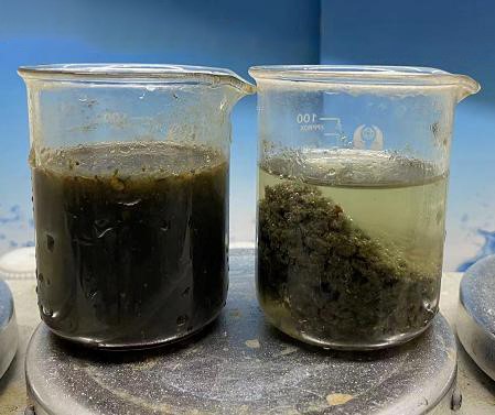 污泥脫水陽離子聚丙烯酰胺離子度的選擇 污泥脫水陽離子聚丙烯酰胺離子度的選擇